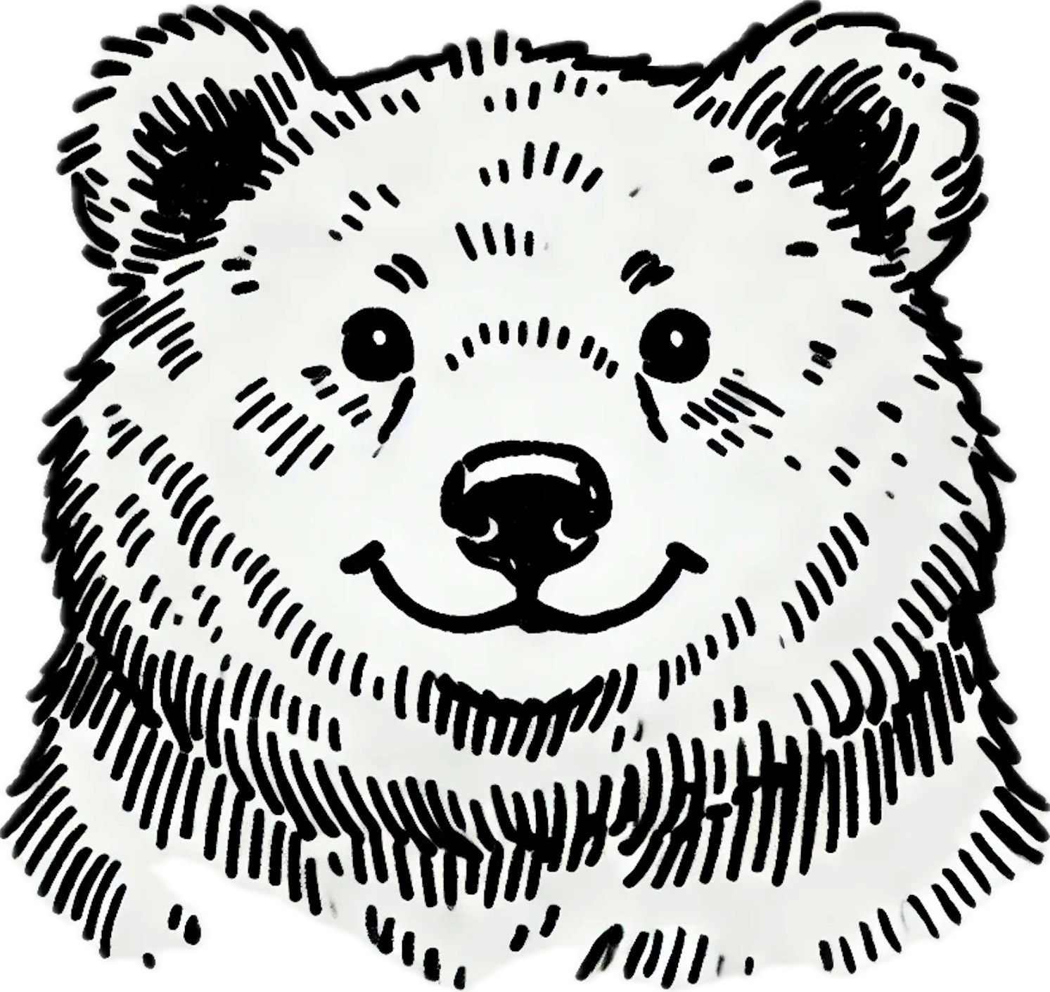 bear